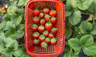 西北旅游详细攻略 西北旅游详细攻略