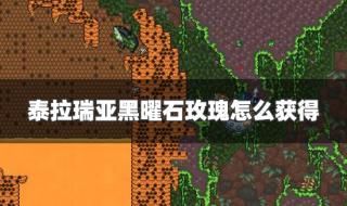 泰拉瑞亚黑曜石套装