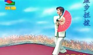 42式太极剑背向演练 42式太极剑背向演练