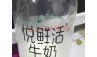 悦鲜活牛奶 悦鲜活牛奶