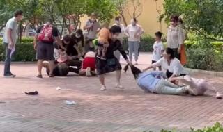 北京动物园打架事件